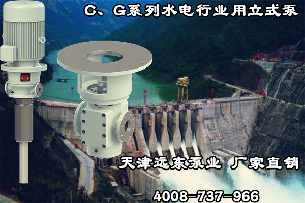 C、G系列水電行業(yè)用立式泵